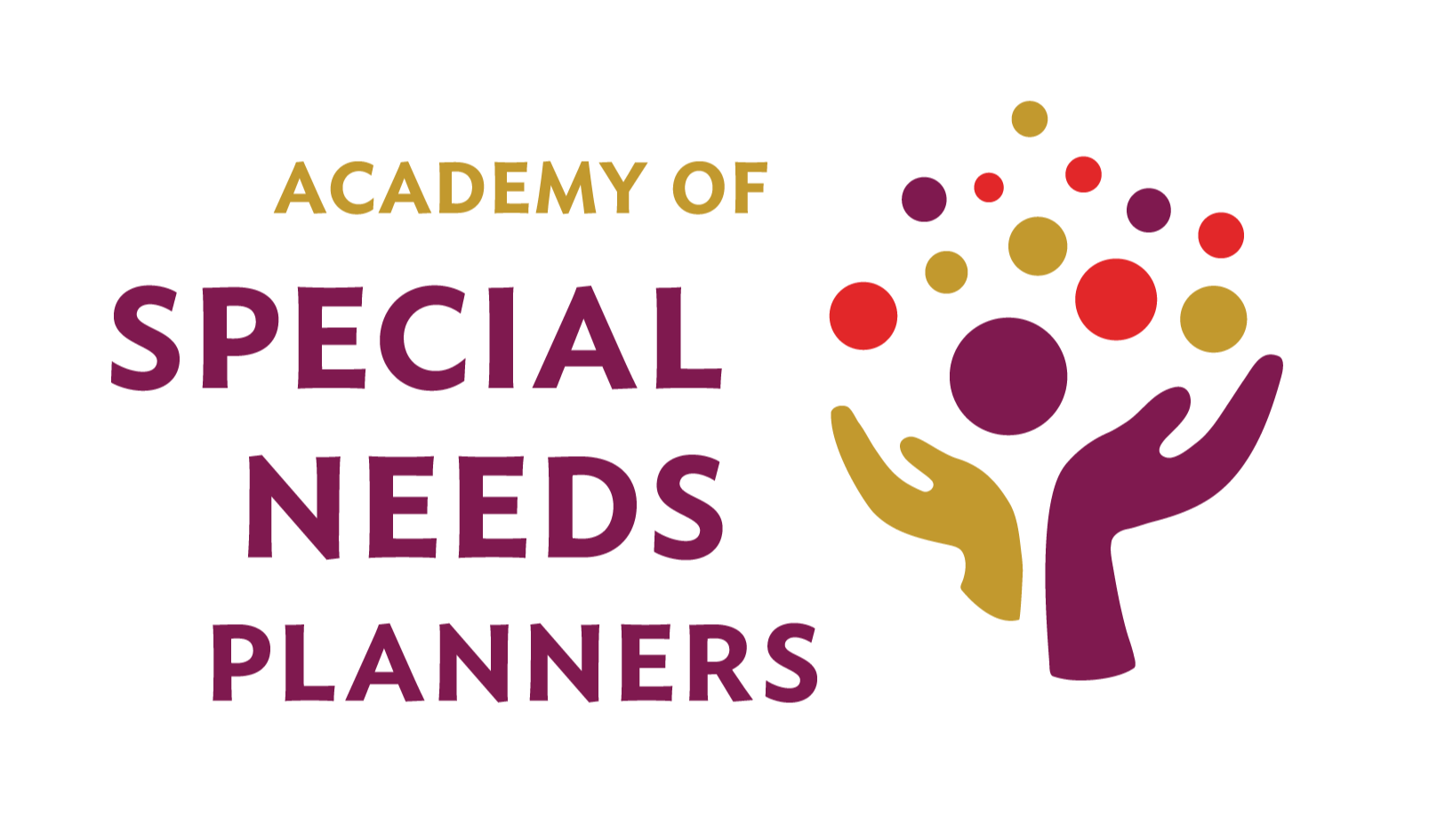 Academy Of Special Needs Planners
